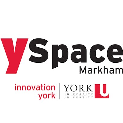 York University